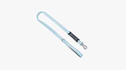Bungee Dog Leash