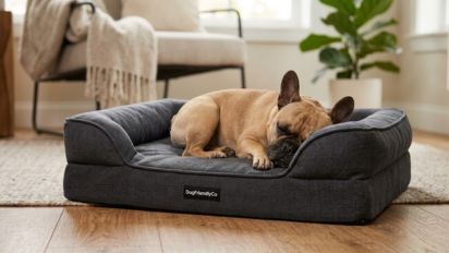 Premium Orthopedic Memory Foam Dog Bed