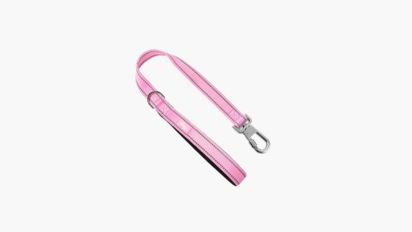 Short Trainer Dog Leash